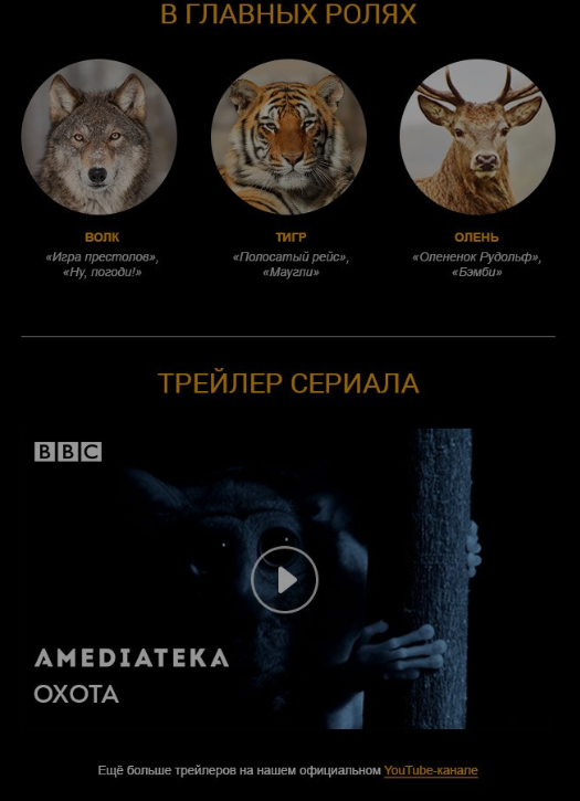 Изображения и видео в рассылке Amediateka